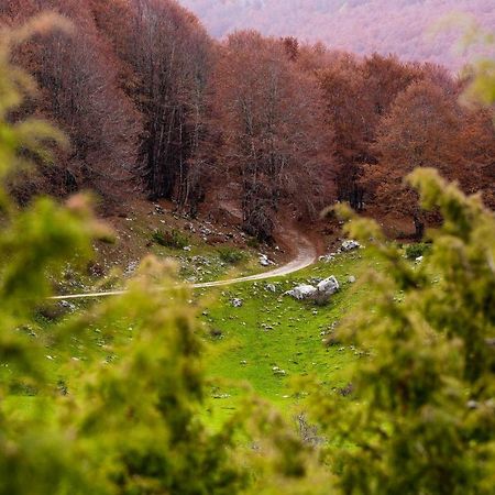 Appartamento A Campo Felice - Treeffe Collimento Dış mekan fotoğraf