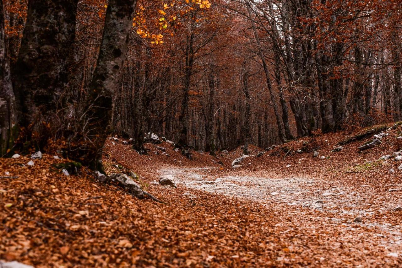 Appartamento A Campo Felice - Treeffe Collimento Dış mekan fotoğraf