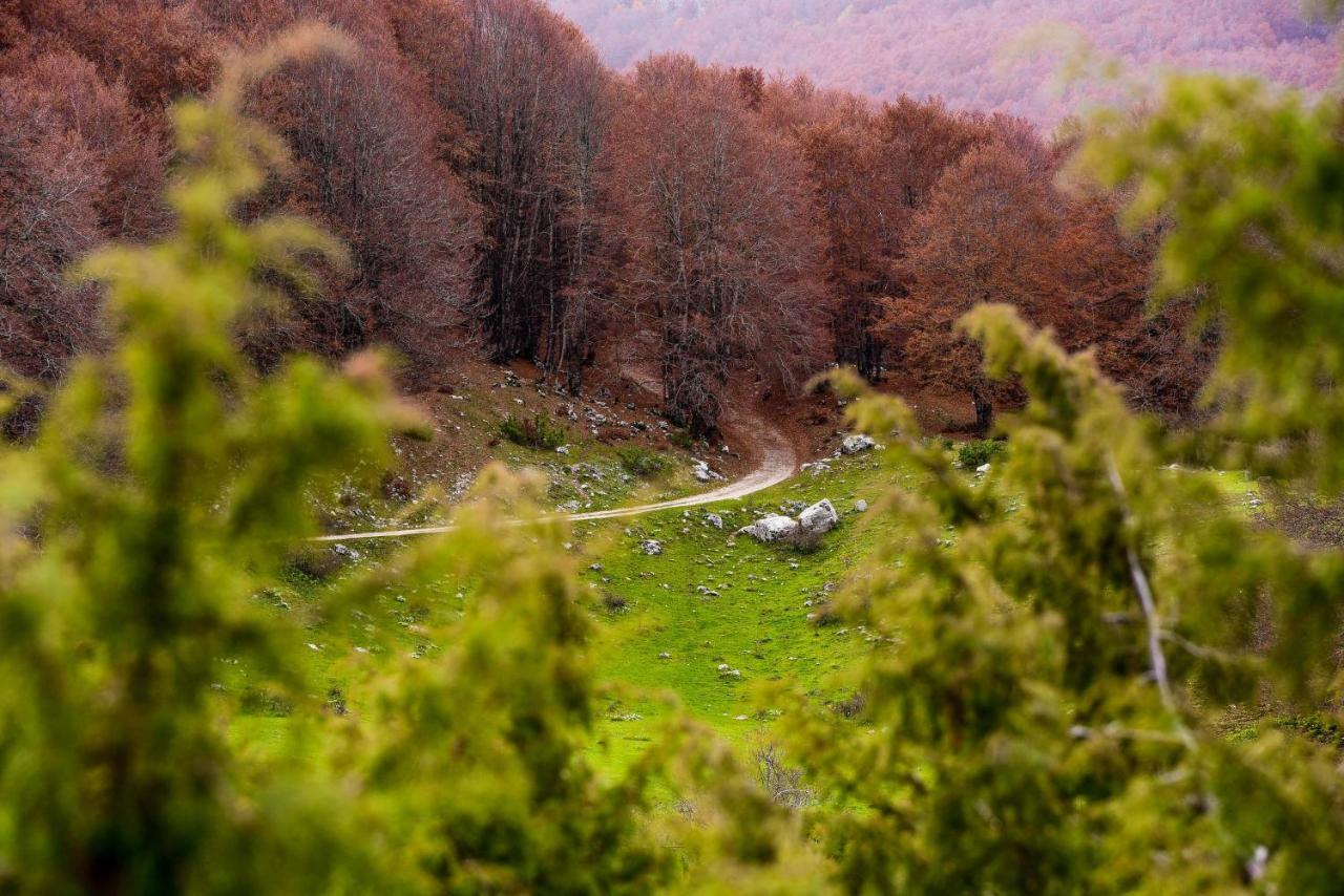 Appartamento A Campo Felice - Treeffe Collimento Dış mekan fotoğraf